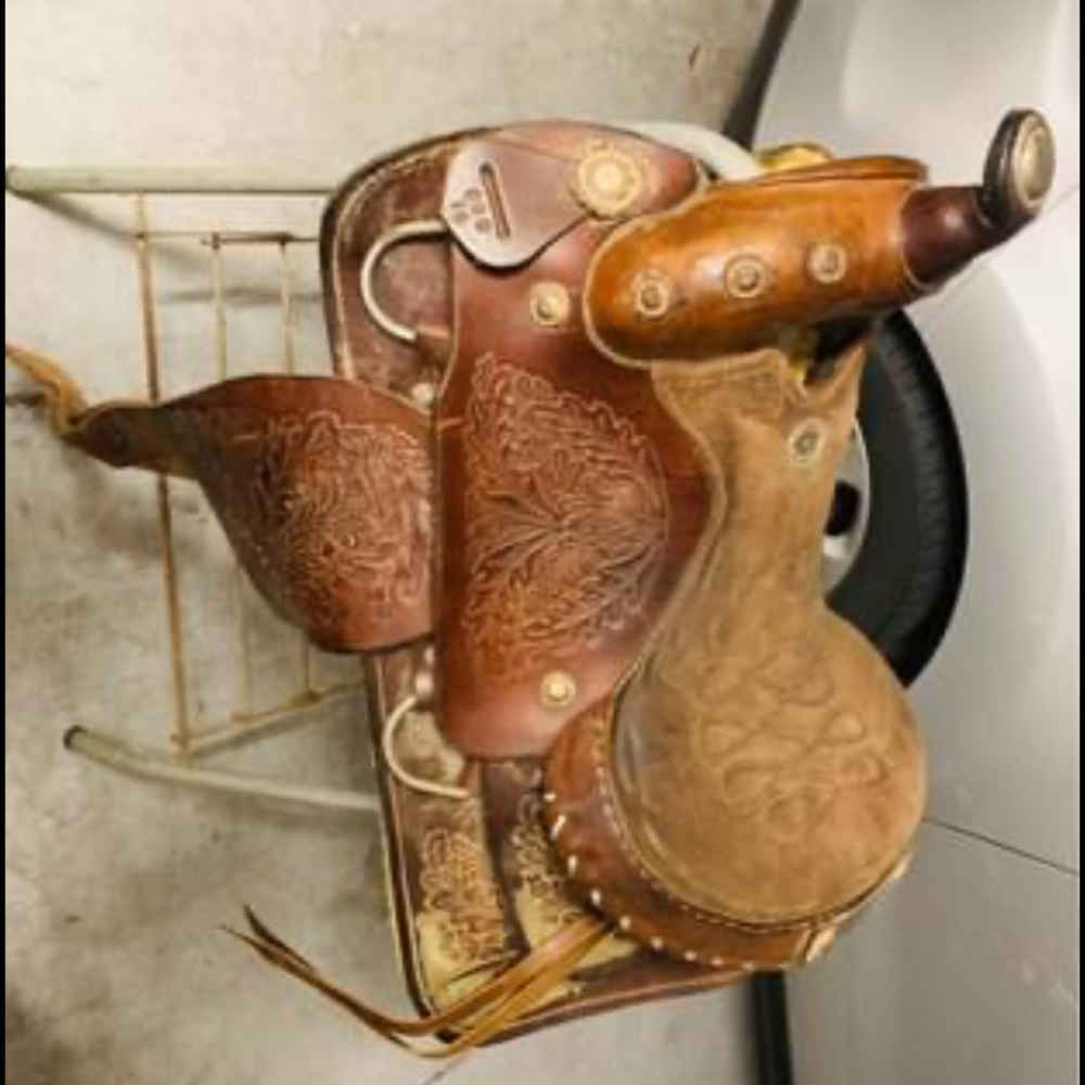 Buffalo Custom Saddle Shipping Extra